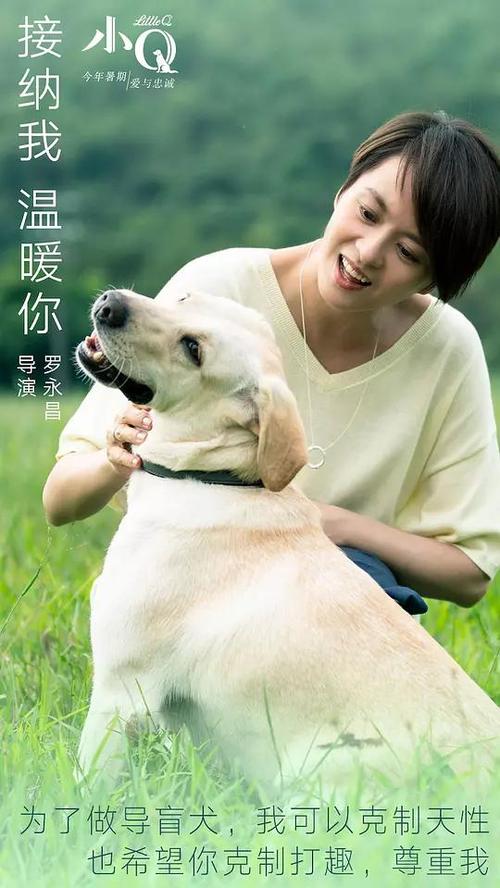 硕士学位证书没有盖章